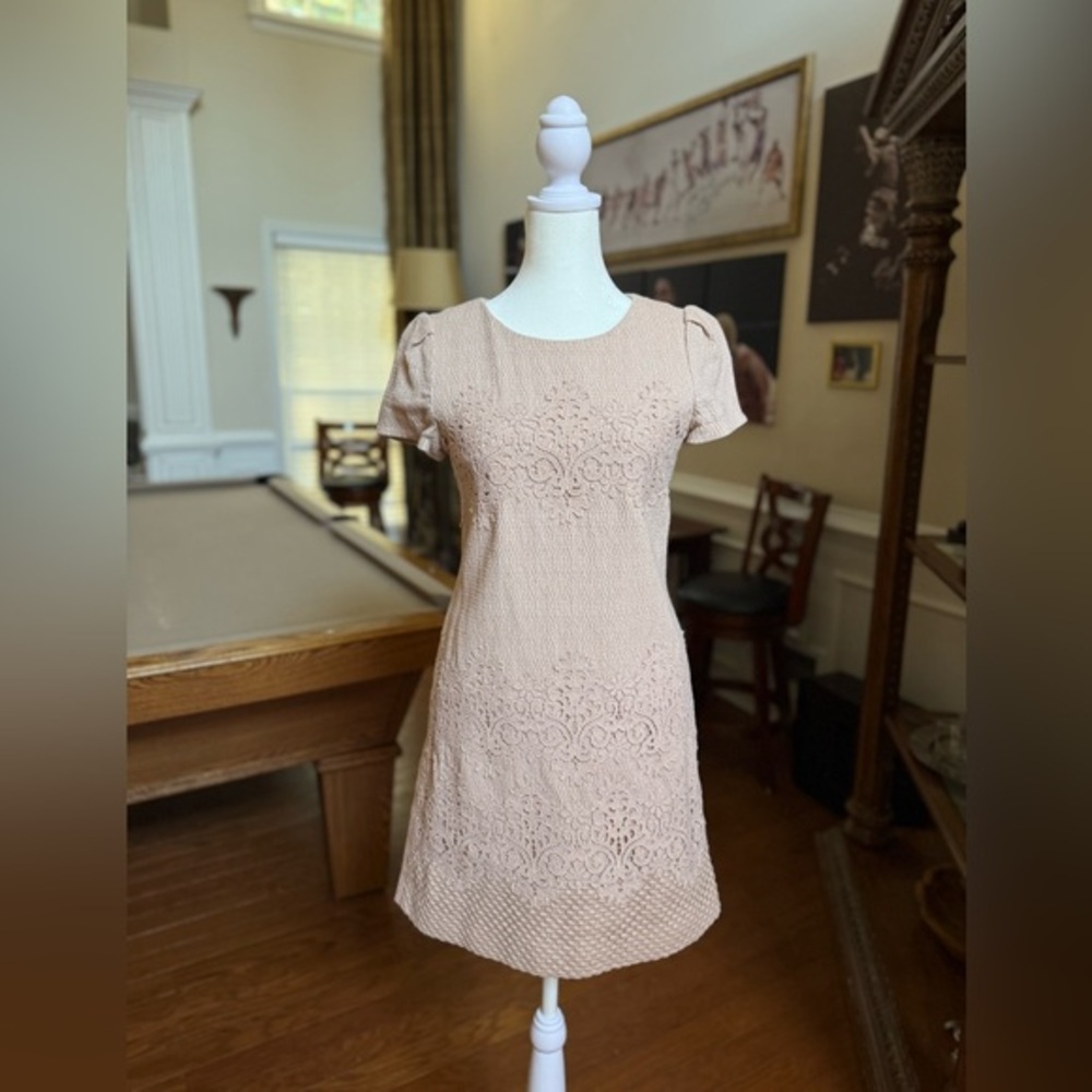 Crew Neck Shift Dress With Lace Overlay and Short Sleeves